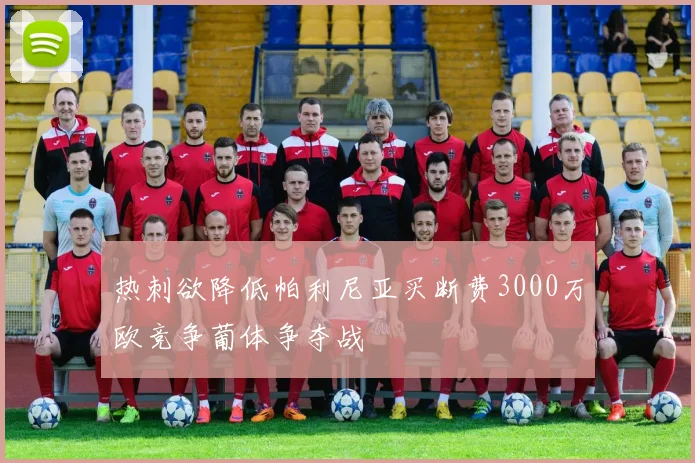 热刺欲降低帕利尼亚买断费3000万欧竞争葡体争夺战